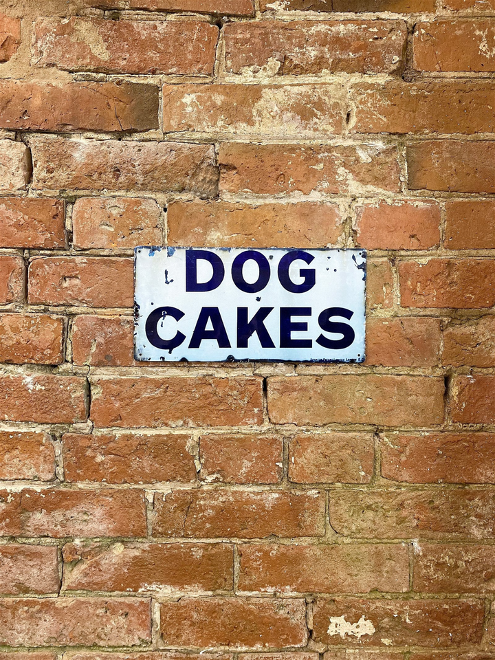 Vintage Dog Cakes Metal Wall Plaque - Decorative Aluminum Sign for Home or Garden - Premium  from Home Treasures - Just £8.99! Shop now at Home Treasures