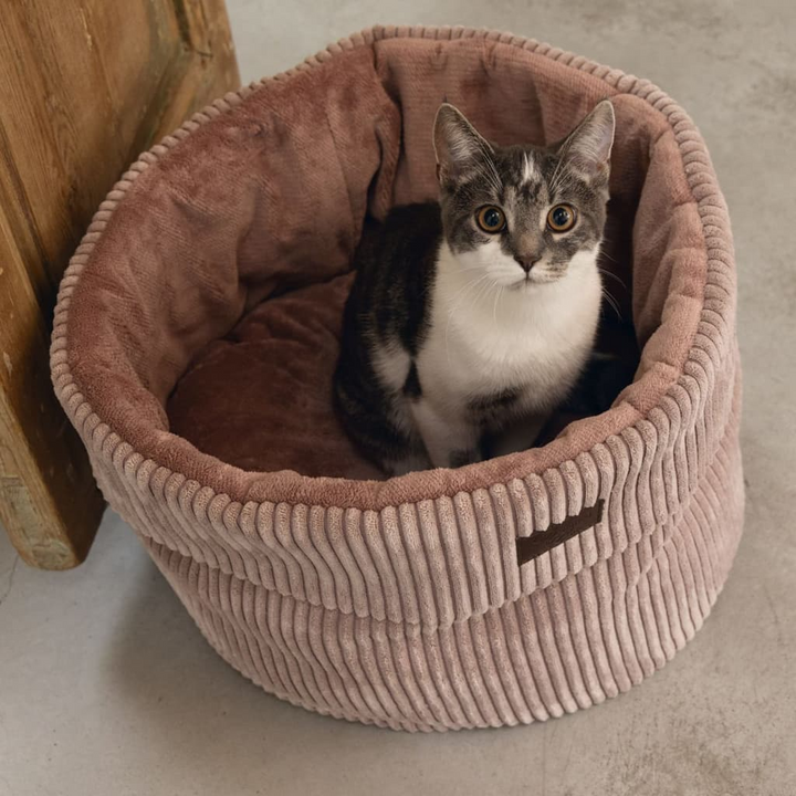 Designed by Lotte Ribbed Pink Cat Basket - Ultra-Soft Comfort, 50x35 cm - Premium  from Home Treasures - Just £95.99! Shop now at Home Treasures