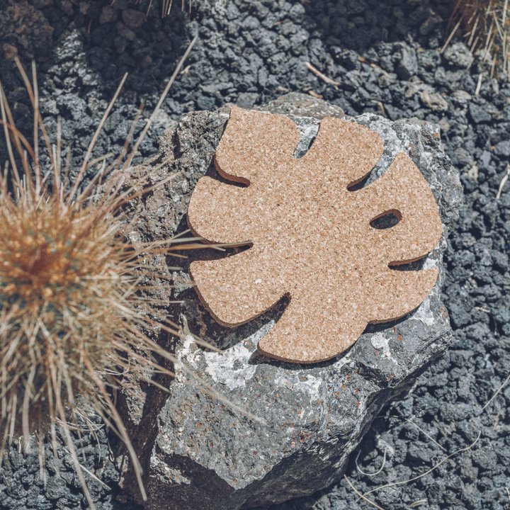 Eco-Friendly Leaf Cork Coaster Set - Stylish & Sustainable Set of 6 Drink Coasters | Perfect for Home Decor & Gifts - Premium  from Home Treasures - Just £33.99! Shop now at Home Treasures