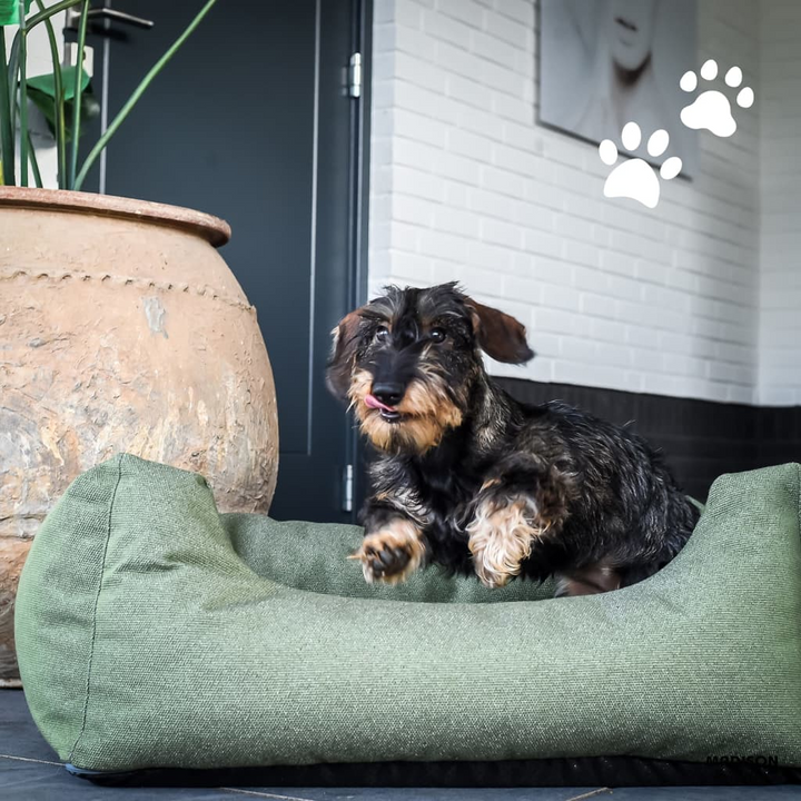 Madison Outdoor Dog Bed - Comfortable, Durable, and Stylish - Premium  from Home Treasures - Just £147.99! Shop now at Home Treasures