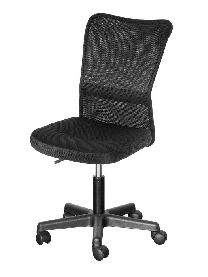 High Back Executive Adjustable Swivel Office Chair w/ Lumbar Support (Black) - Premium Office Chairs from Home Treasures - Just £81.13! Shop now at Home Treasures